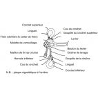 Description palan manuel LX à levier en alu pour les pros